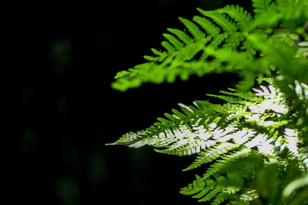 Creating_Photographs_for_the_Tourism_Business　copyright‗MTBS‗PHOTO